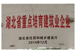 湖北省住建廳2014年指定天舜公司為省重點培育建筑企業