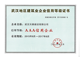 天舜公司被武漢市建協授予2015年度AAA信用企業證書