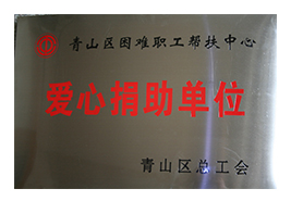 武漢市青山區總工會授予天舜公司“愛心捐助單位”榮譽獎牌